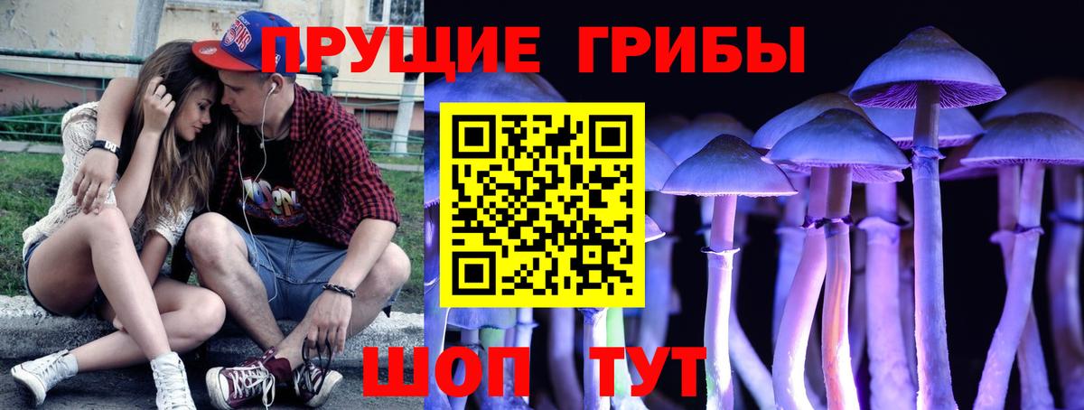 Торжок  Псилоцибиновые грибы Psilocybine cubensis  Вход с VPN 